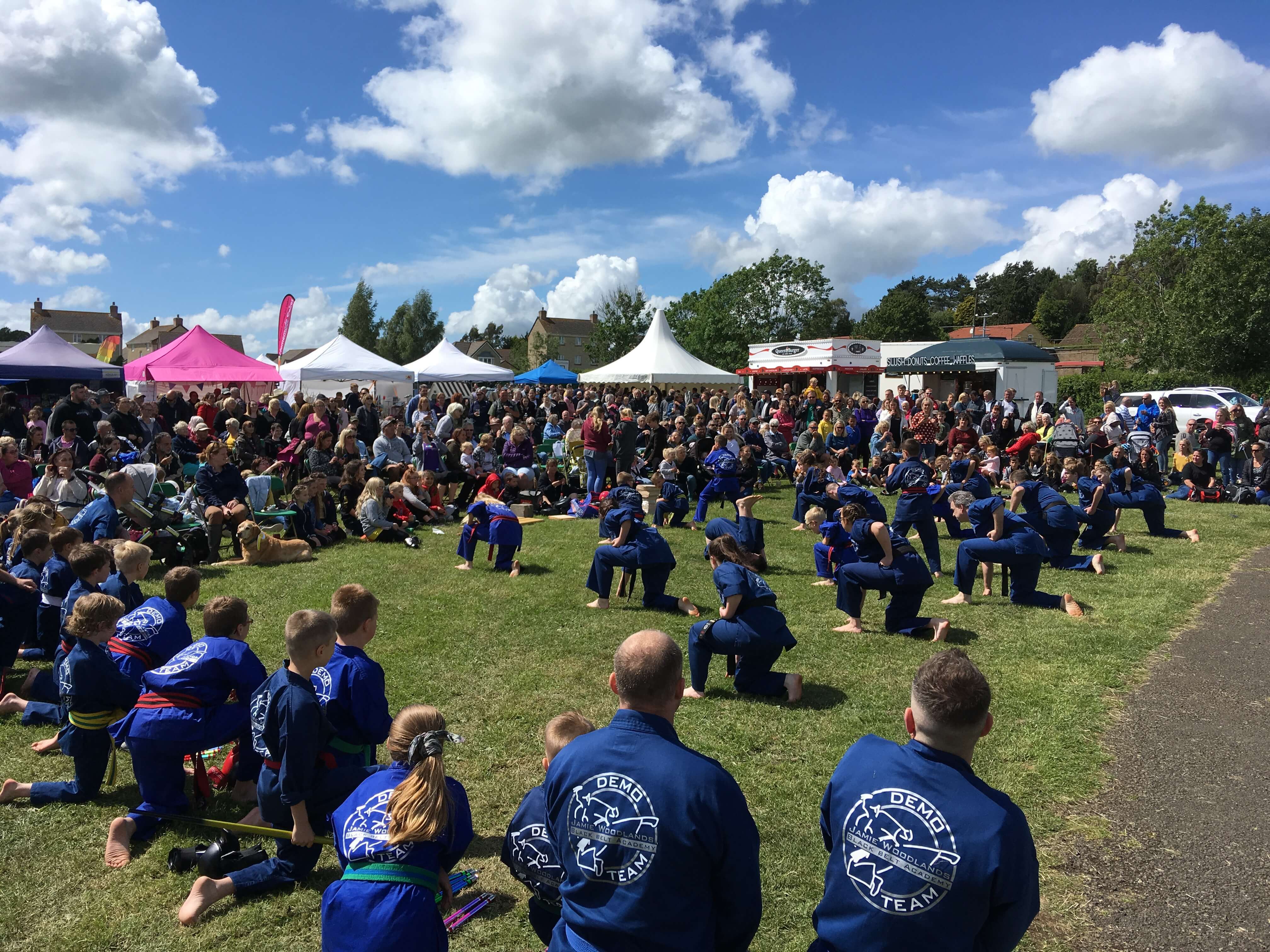 Over 2,000 people turn out for Peasedown's 11th Annual Party in the Park Festival