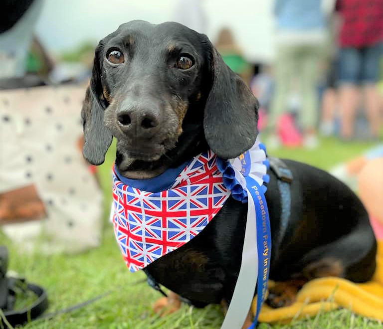 Peasedown Dog Show to return this year at Party in the Park festival